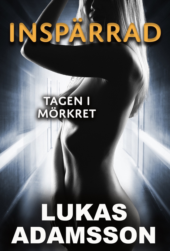 Tagen i mörkret (e-bok) av Lukas X