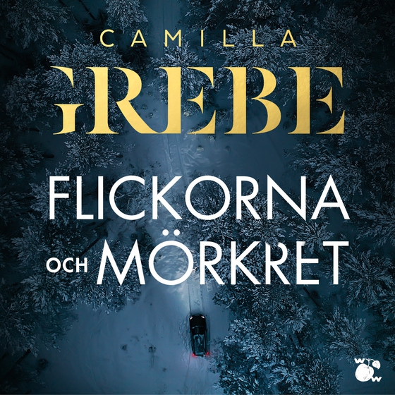 Flickorna och Mörkret (ljudbok) av Camilla Grebe