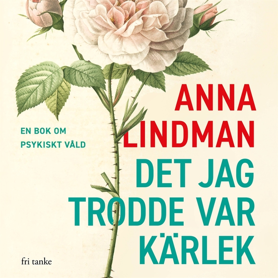 Det jag trodde var kärlek: En bok en om psykiskt våld