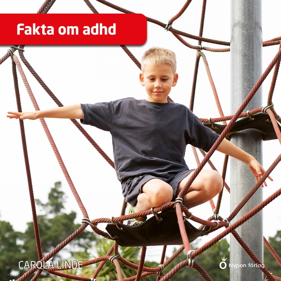 Fakta om adhd