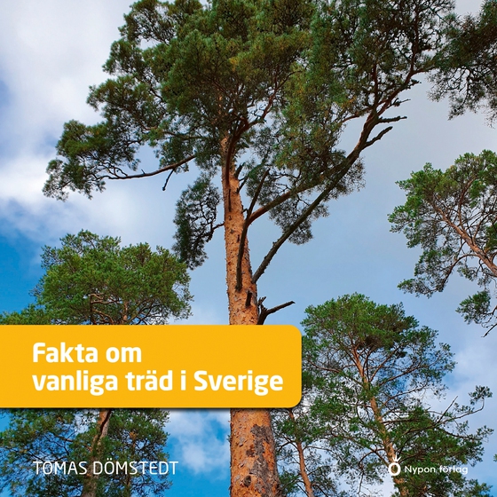 Fakta om vanliga träd i Sverige