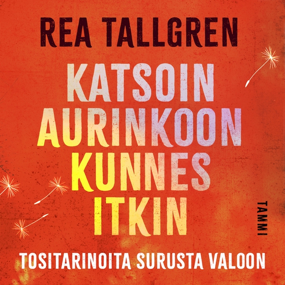 Katsoin aurinkoon kunnes itkin (ljudbok) av Rea Tallgren