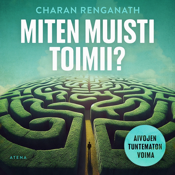 Miten muisti toimii