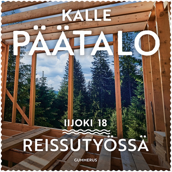 Reissutyössä
