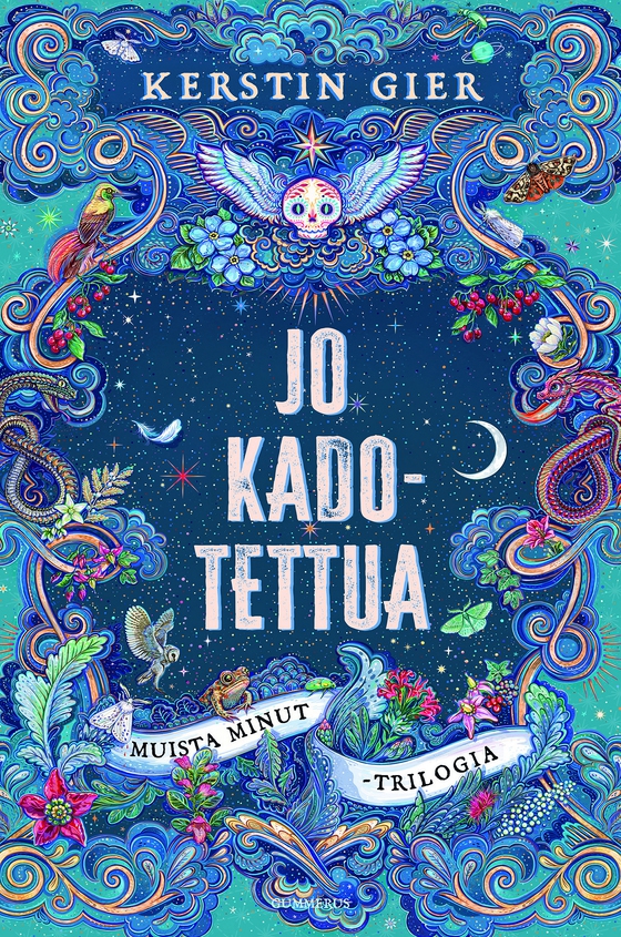 Jo kadotettua