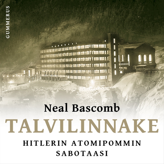 Talvilinnake