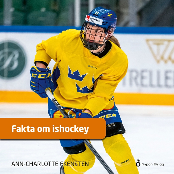 Fakta om ishockey