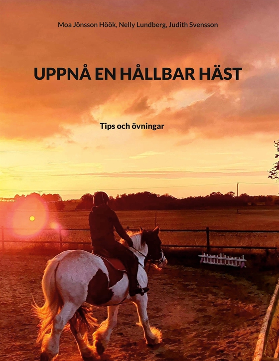 UPPNÅ EN HÅLLBAR HÄST: Tips och övningar