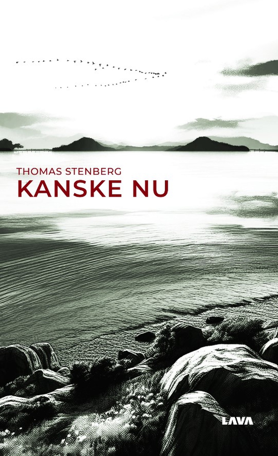 Kanske nu (e-bok) av Thomas Stenberg
