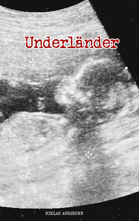 Underländer (e-bok) av Niklas Aurgrunn