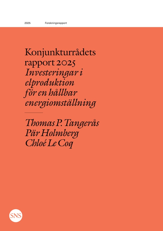 Konjunkturrådets rapport 2025: Investeringar i elproduktion för en hållbar energiomställning