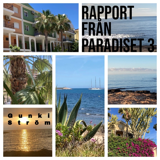 Rapport från Paradiset 3