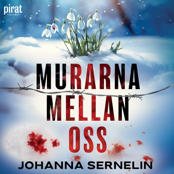 Murarna mellan oss (ljudbok) av Johanna Sernelin