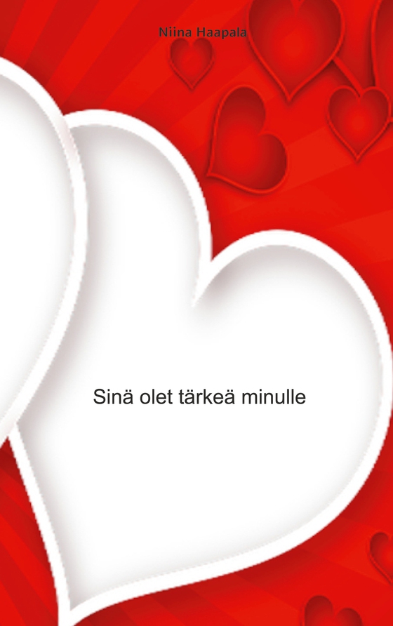Sinä olet tärkeä minulle (e-bok) av Niina Haapala