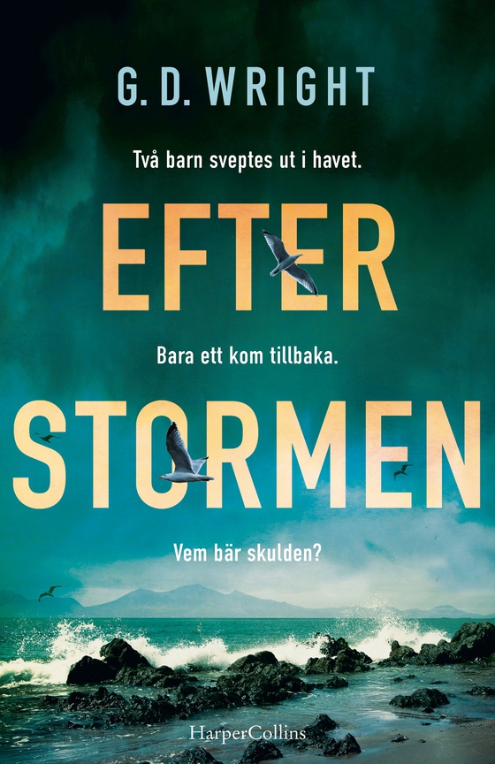 Efter stormen (e-bok) av G. D. Wright