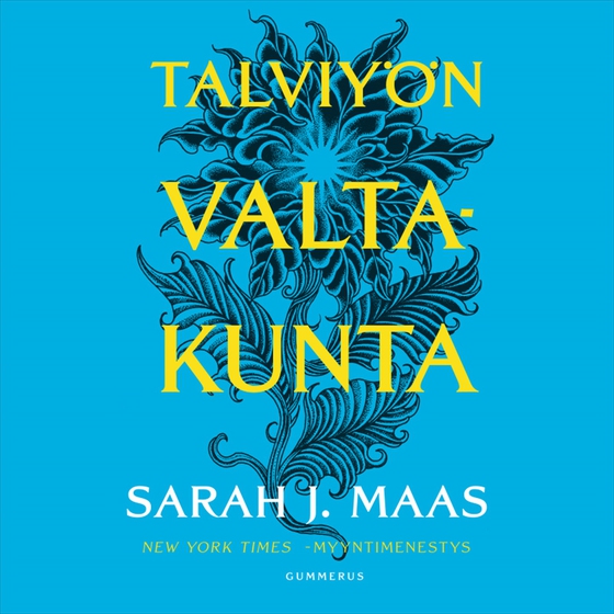 Talviyön valtakunta