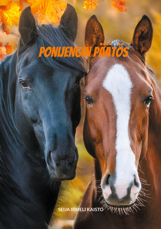 Ponijengin päätös