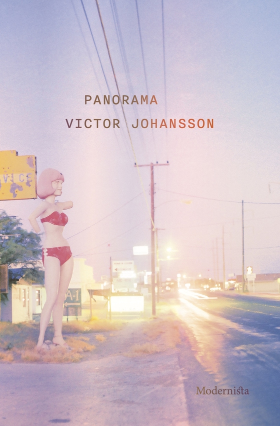 Panorama (e-bok) av Victor Johansson