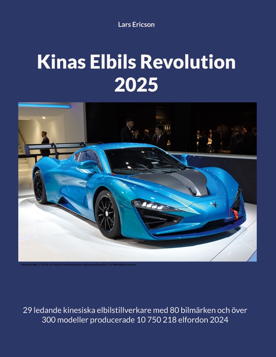 Kinas Elbils Revolution 2025
