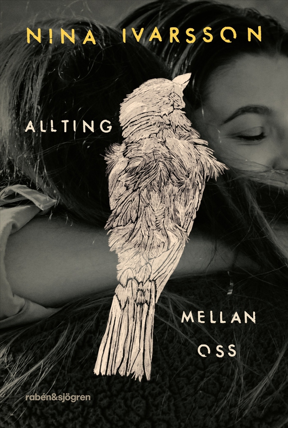 Allting mellan oss (e-bok) av Nina Ivarsson