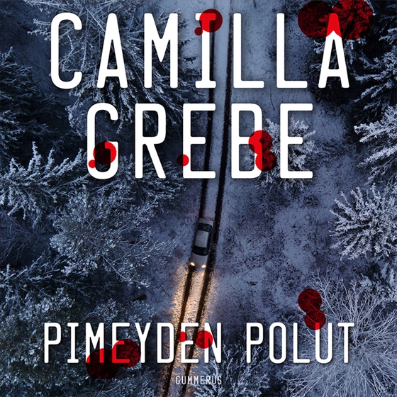 Pimeyden polut