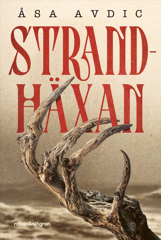 Strandhäxan (e-bok) av Åsa Avdic
