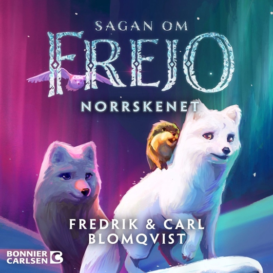Norrskenet