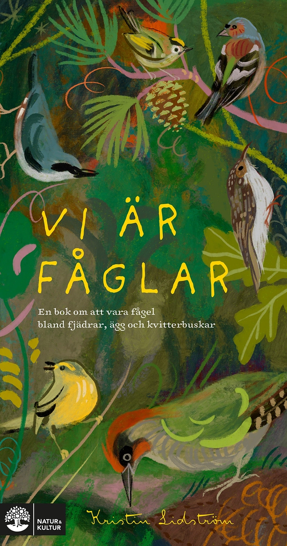 Vi är fåglar : En bok om att vara fågel bland fjädrar, ägg och kvitterbuskar