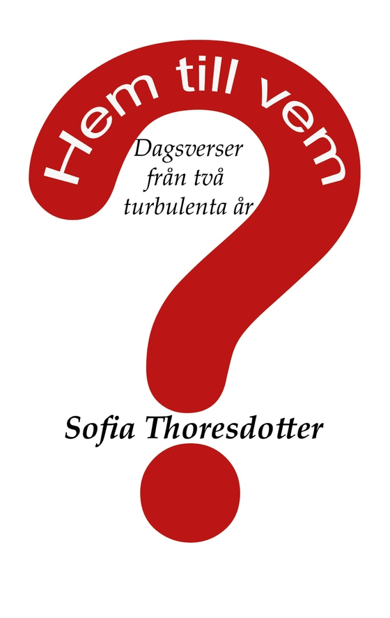 Hem till vem?: Dagsverser från två turbulenta år