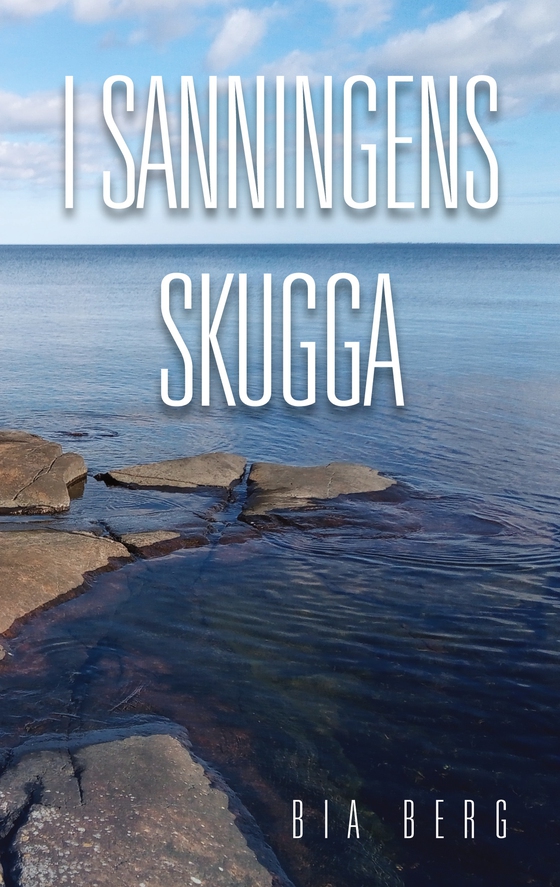 I sanningens skugga: En relationsroman