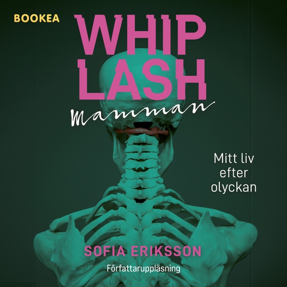 Whiplashmamman : mitt liv efter olyckan
