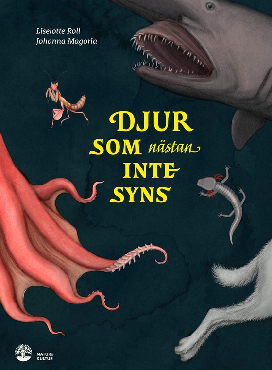 Djur som nästan inte syns (e-bok) av Liselotte Roll
