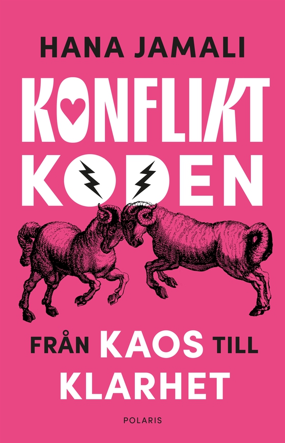 Konfliktkoden - Från kaos till klarhet