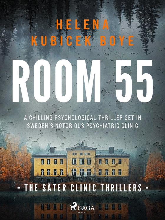 Room 55: a chilling psychological thriller set in Sweden's notorious psychiatric clinic