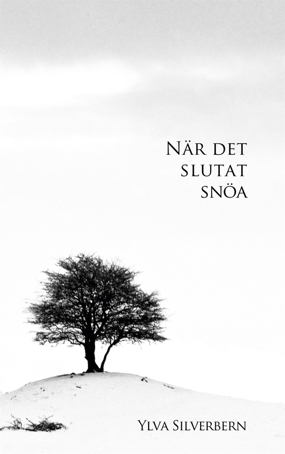 När det slutat snöa