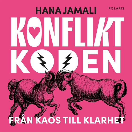 Konfliktkoden : från kaos till klarhet