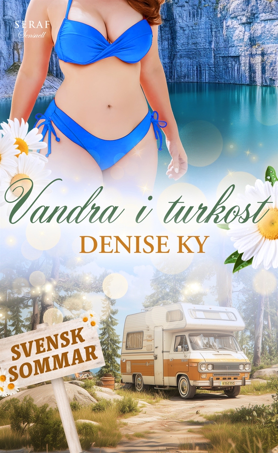 Vandra i turkost (e-bok) av Denise Ky