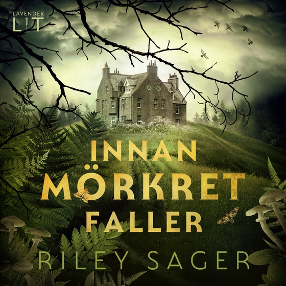 Innan mörkret faller (ljudbok) av Riley Sager