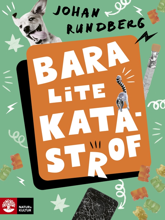 Bara lite katastrof (e-bok) av Johan Rundberg