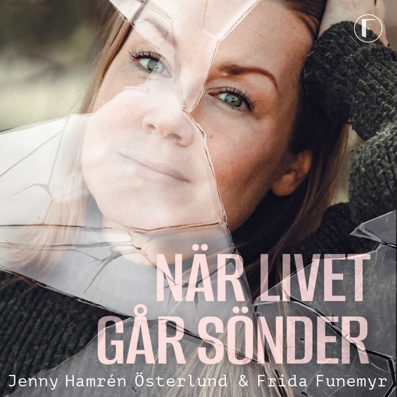 När livet går sönder (ljudbok) av Frida Funemyr