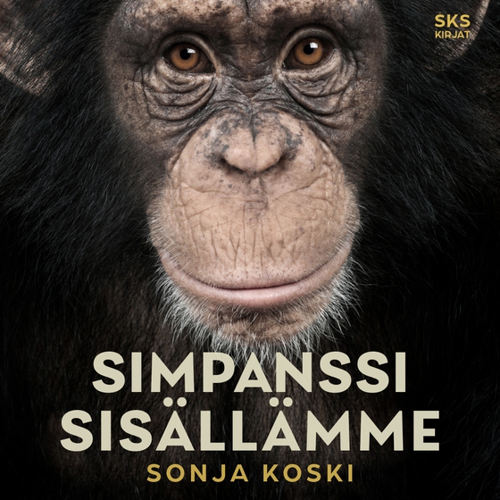 Simpanssi sisällämme