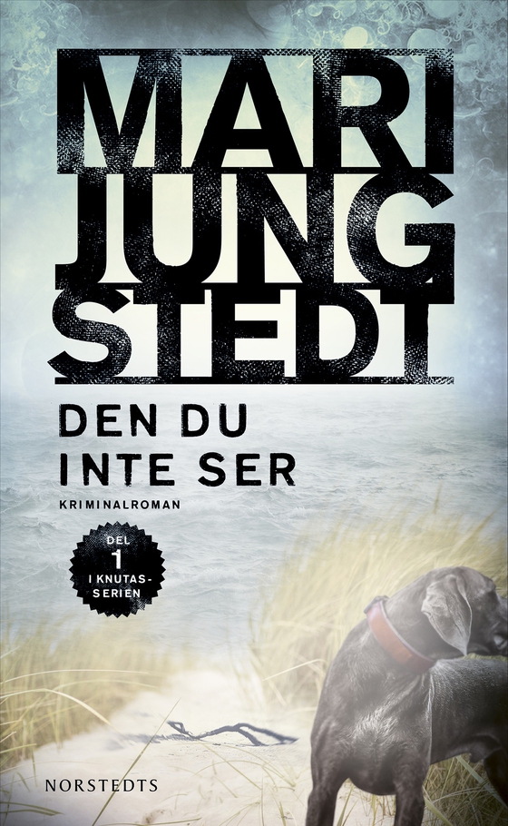 Den du inte ser (e-bok) av Mari Jungstedt
