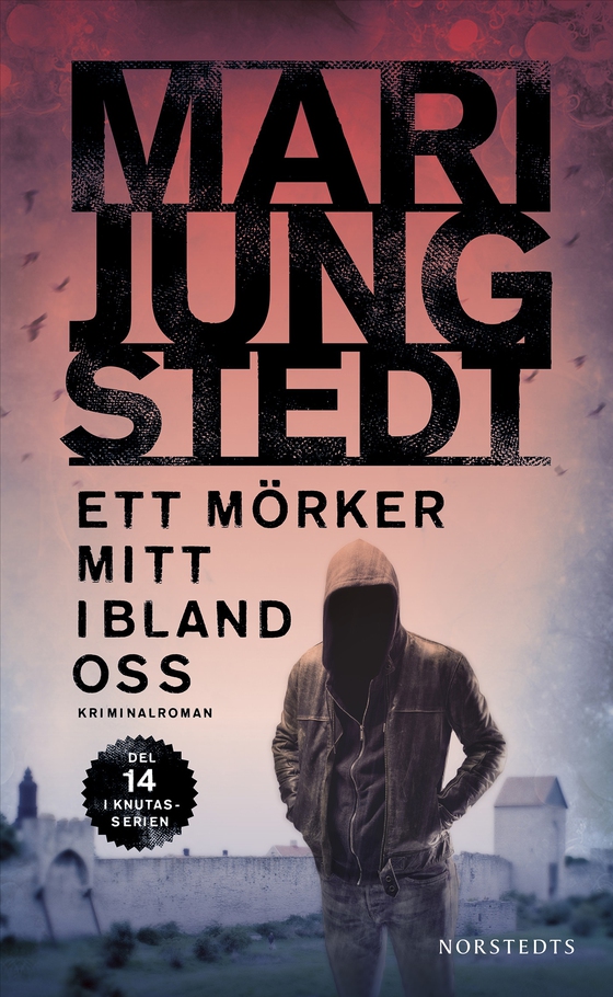 Ett mörker mitt ibland oss (e-bok) av Mari Jungstedt