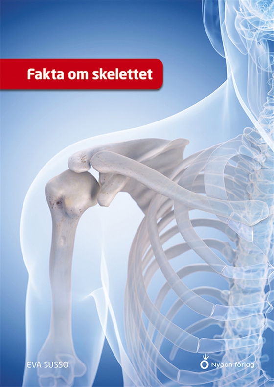 Fakta om skelettet