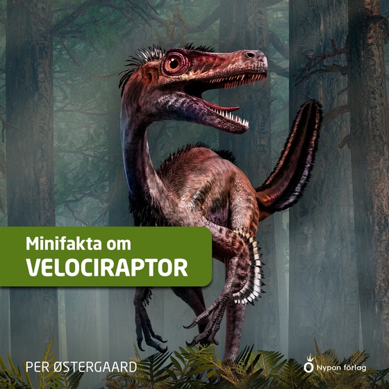 Minifakta om velociraptor