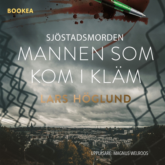 Sjöstadsmorden : mannen som kom i kläm