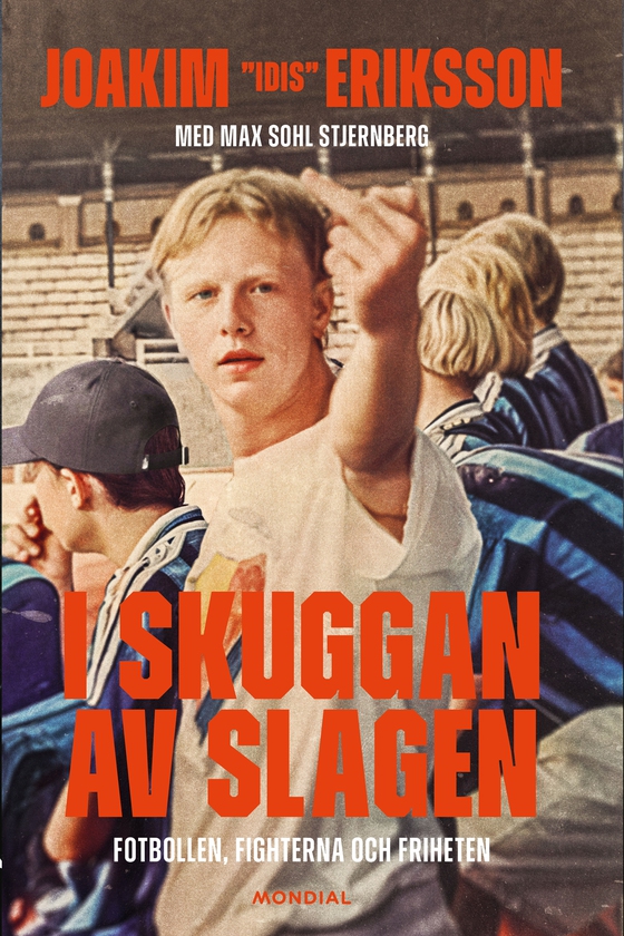I skuggan av slagen