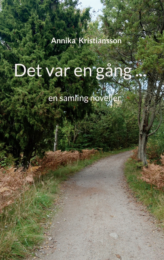 Det var en gång ...: en samling noveller