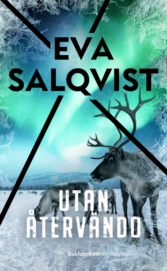 Utan återvändo (e-bok) av Eva Salqvist