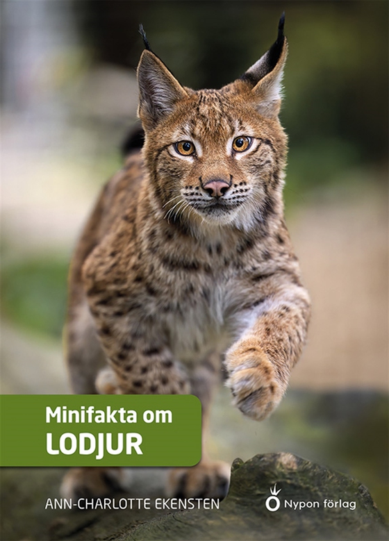 Minifakta om lodjur (e-bok) av Ann-Charlotte Ekensten